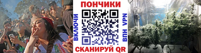 Наркота Высоковск Псилоцибиновые грибы  Альфа ПВП  ГАШИШ  Кокаин 