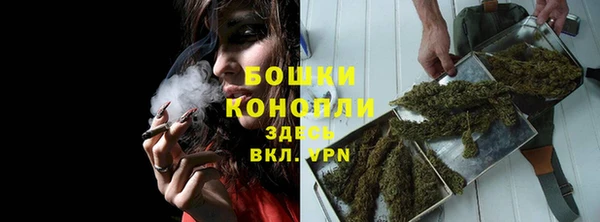 дмт Бородино