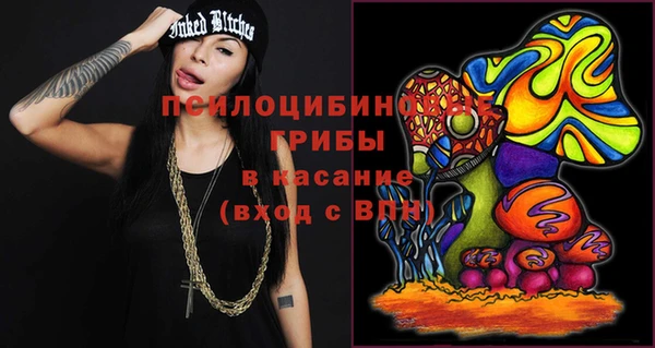 спайс Пересвет