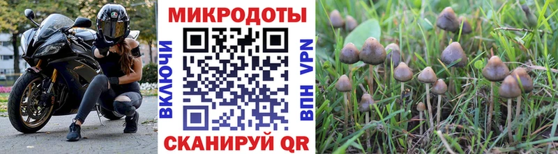 Псилоцибиновые грибы ЛСД  продажа наркотиков  Высоковск 